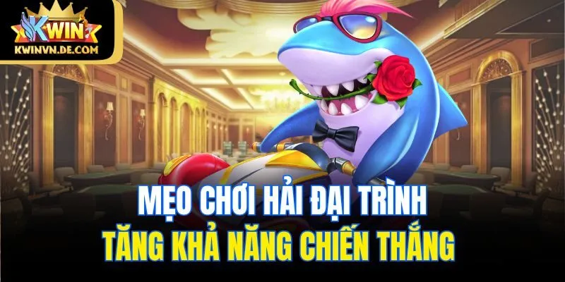 Hé Lộ Cách Chơi Đại Hải Trình Kwin Dễ Trúng Cho Tân Thủ 6 Mẹo chơi hải đại trình tăng khả năng chiến thắng